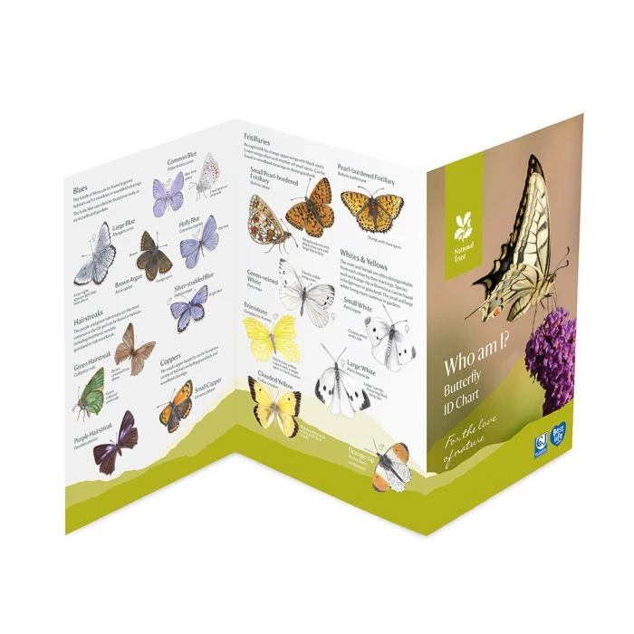 National Trust Butterfly ID Chart 4 National Trust Butterfly ID Chart - Image 2