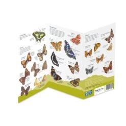 National Trust Butterfly ID Chart 9 National Trust Butterfly ID Chart -Nature Home Sales 972420121 dv02