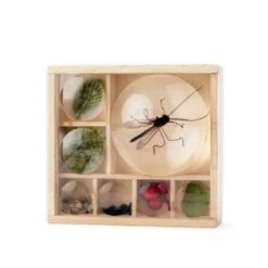 Huckleberry Insect Box 7 Huckleberry Insect Box -Nature Home Sales 973290119 1
