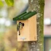 National Trust Great Tit Nest Box 32mm Gift Set -Nature Home Sales 980600121 jvg 7697