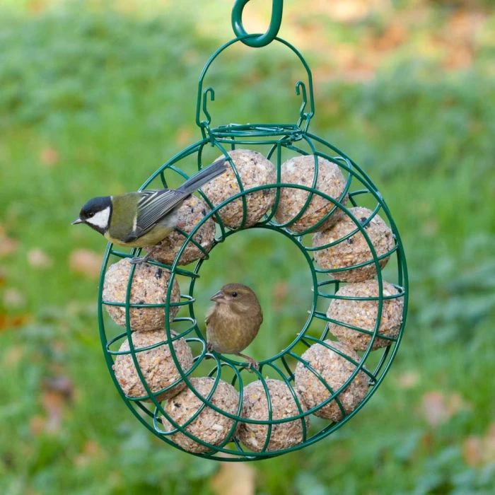 Fat Balls With Mealworms - 6 Pack 4 Fat Balls With Mealworms - 6 Pack - Image 2