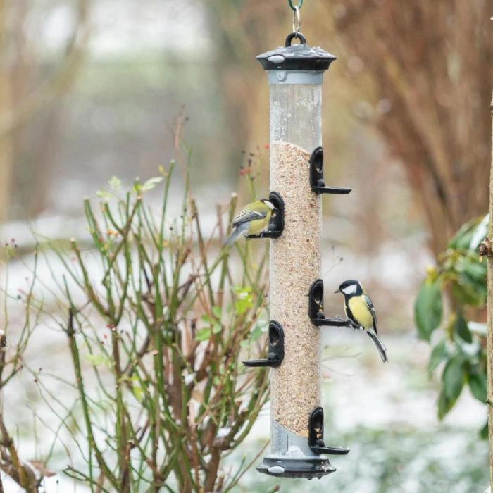 Apollo Bird Seed Feeder Range 4 Apollo Bird Seed Feeder Range - Image 2