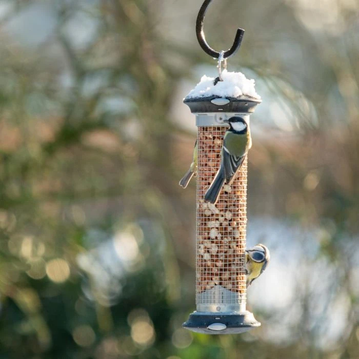 National Trust Apollo Peanut Feeder 7 National Trust Apollo Peanut Feeder - Image 5