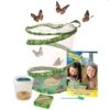 Live Butterfly Garden 1 Live Butterfly Garden -Nature Home Sales bg contents 1