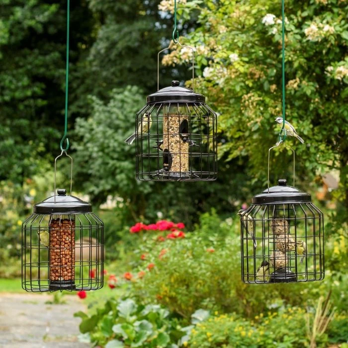 Brussels Bird Feeder Guardians - Bundle Of 3 3 Brussels Bird Feeder Guardians - Bundle Of 3