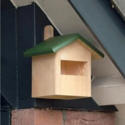 Ecuador Half-Open Nest Box