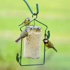 National Trust Seed Peanut Cake (1 Litre) 9 National Trust Seed Peanut Cake (1 Litre) -Nature Home Sales energiekuchen mit saatkoernern 10040 4