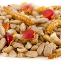Hi-Energy Supreme Bird Seed Mix -Nature Home Sales energiereiche samen deluxe 11205 1 1
