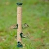 National Trust 6 Port Metal Seed Feeder 2 National Trust 6 Port Metal Seed Feeder -Nature Home Sales es 31050 1