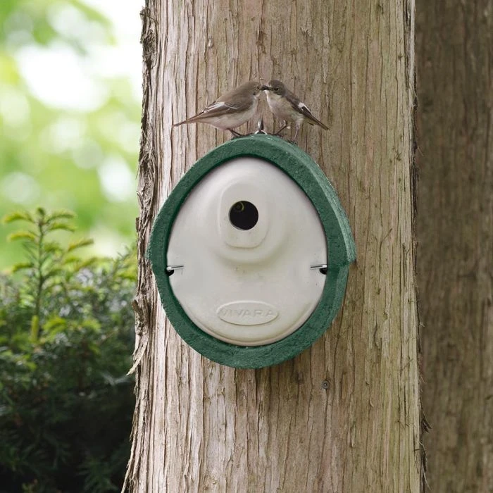 WoodStone® Alicante 32mm Nest Box (Green) 3 WoodStone® Alicante 32mm Nest Box (Green)