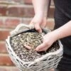 Bird Feeder Seed Mix 2 Bird Feeder Seed Mix -Nature Home Sales futtersaeulen mischung 15104 1 1 1