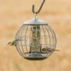 National Trust Athena Bird Seed Guardian Feeder 2 National Trust Athena Bird Seed Guardian Feeder -Nature Home Sales guardian globe athena 35111