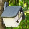 Zurich 32mm Nest Box 1 Zurich 32mm Nest Box -Nature Home Sales nistkasten zurich 90781