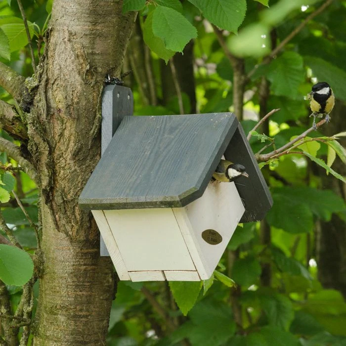 Zurich 32mm Nest Box 4 Zurich 32mm Nest Box - Image 2