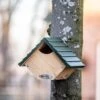 National Trust Robin & Wren Nest Box -Nature Home Sales nt93072