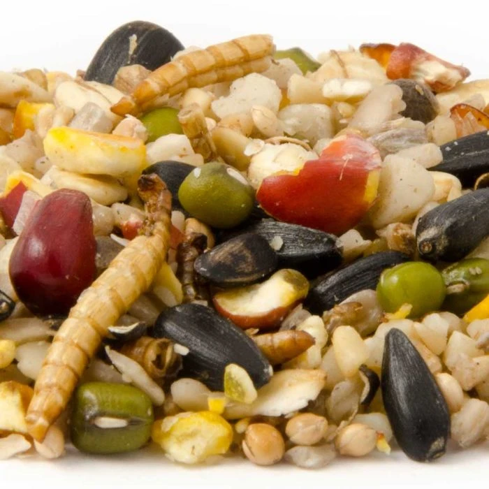 Vitality Bird Seed Mix 4 Vitality Bird Seed Mix - Image 2