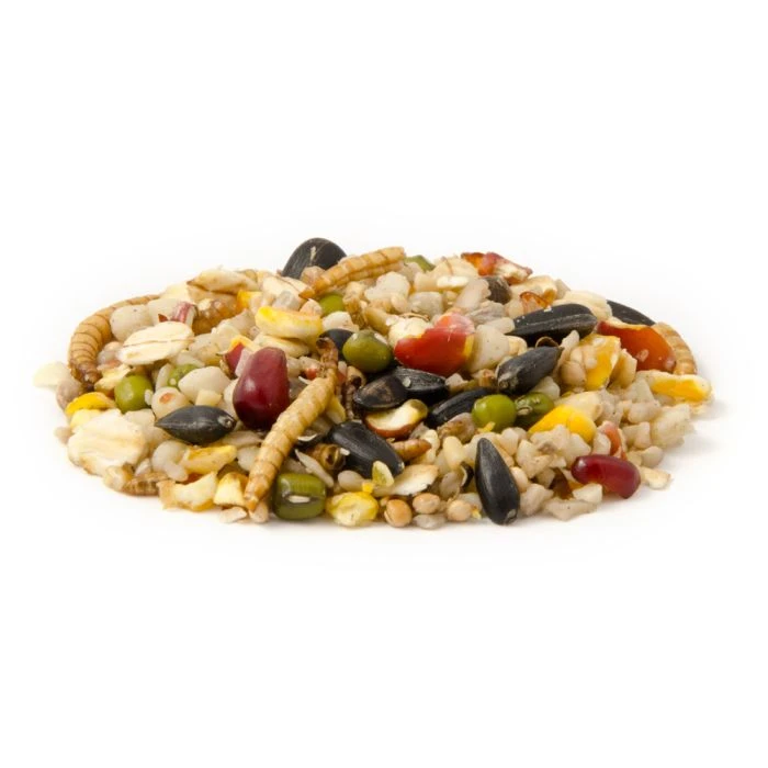Vitality Bird Seed Mix 5 Vitality Bird Seed Mix - Image 3