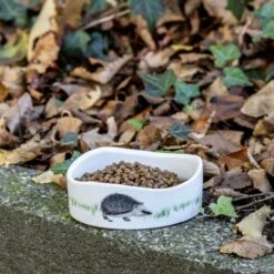 Premium Hedgehog Food 13 Premium Hedgehog Food -Nature Home Sales premium hedgehog food 190340120 938430119 jvg 2433 2 1