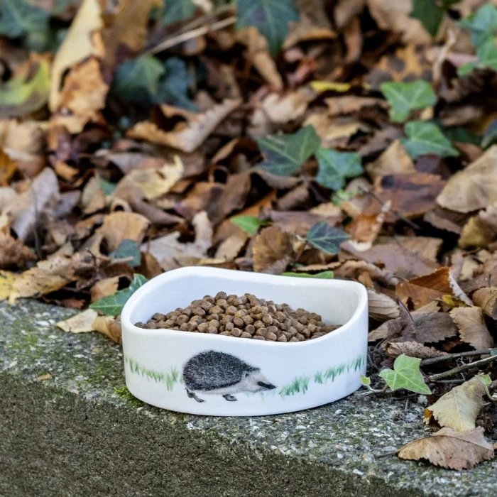 Premium Hedgehog Food 8 Premium Hedgehog Food - Image 6