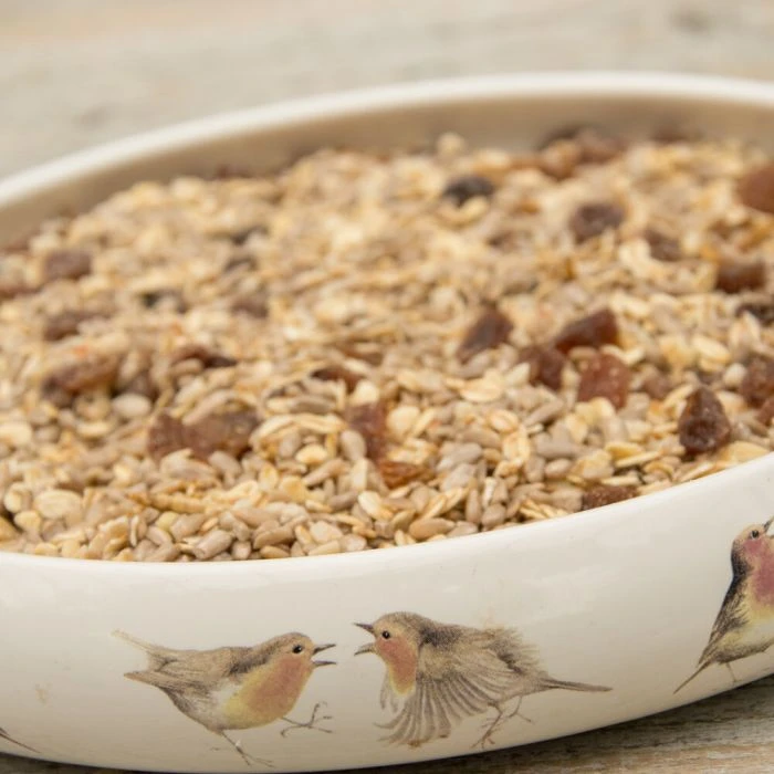 Best Robin Blend Bird Seed Mix 6 Best Robin Blend Bird Seed Mix - Image 4