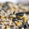 Hi-Energy Seed Mix For Birds -Nature Home Sales rsz 1stan paulus 1771