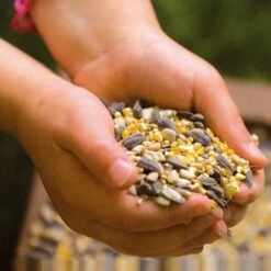 National Trust Garden Bird Table Seed 9 National Trust Garden Bird Table Seed -Nature Home Sales rsz 5 jv05729 a