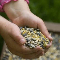 Hi-Energy Seed Mix For Birds 9 Hi-Energy Seed Mix For Birds -Nature Home Sales rsz jan vermeer jv05729