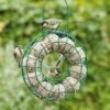 Fat Ball Feeding Ring