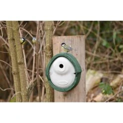 WoodStone® Alicante 28mm Nest Box (Green) -Nature Home Sales woodstone alicante 28mm green 90683 2 haakjes bewerkt