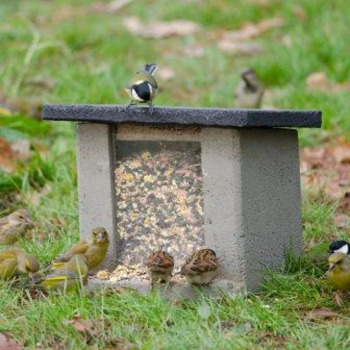 WoodStone® Ground Feeder 4 WoodStone® Ground Feeder - Image 2