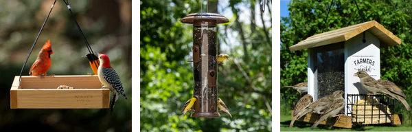 Nature Home Sales -Nature Home Sales banner166